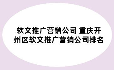 软文推广营销公司 重庆开州区软文推广营销公司排名
